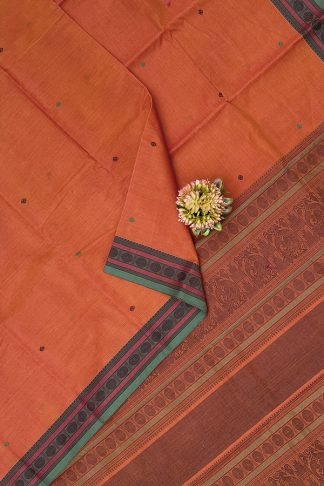Kanchi Cotton Saree