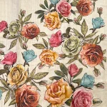 tissue tussar saree pallu