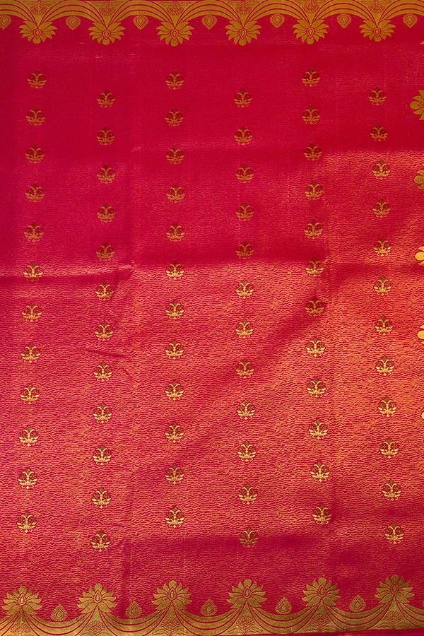 pallu