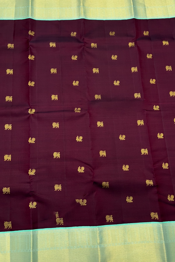 Kanchi Pure Silk