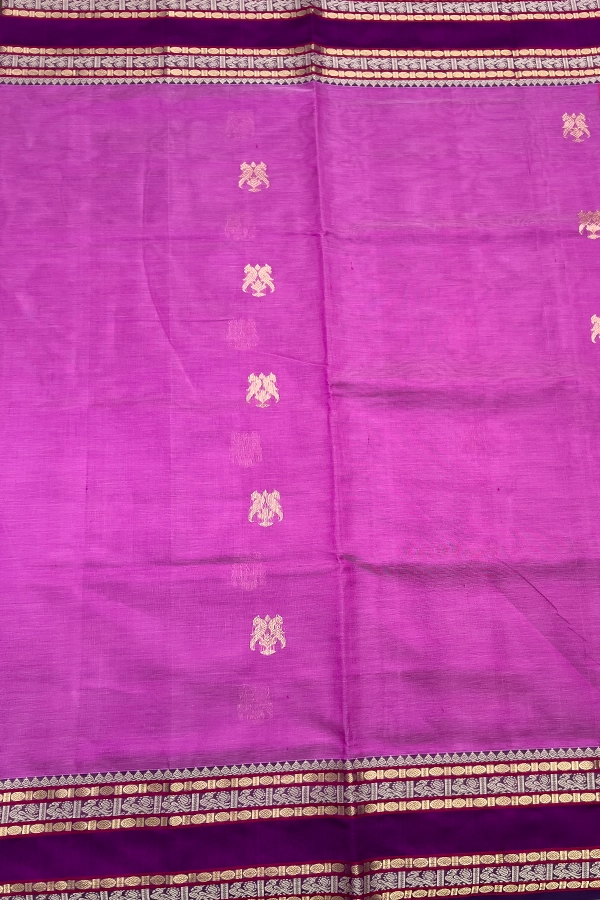 Kanchi Pure Silk Cotton Saree