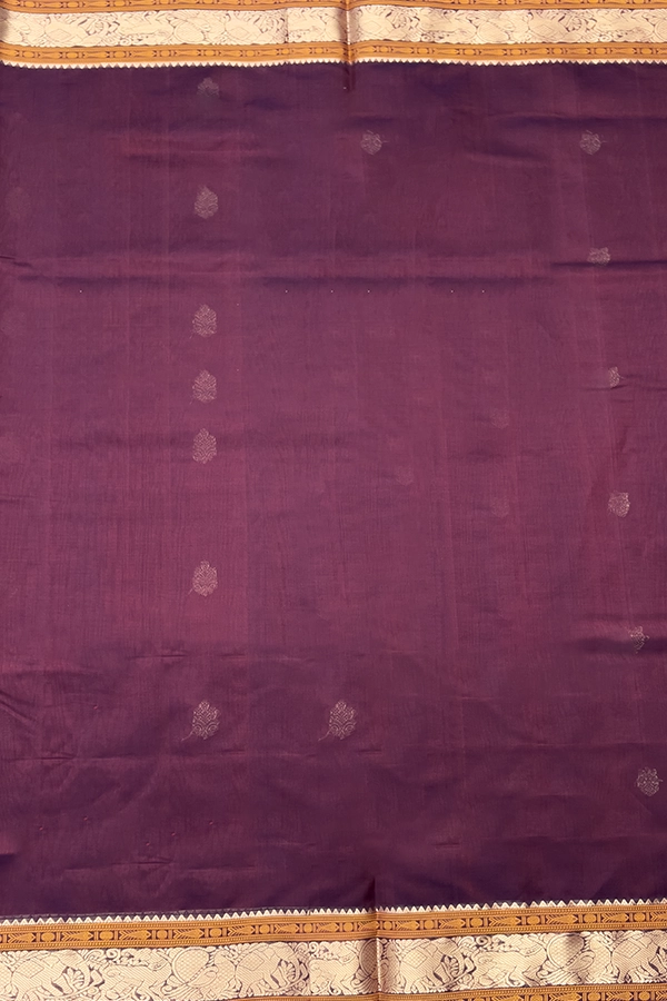 Kanchi Pure Silk Cotton