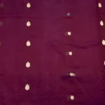 Kanchi Pure Silk Cotton