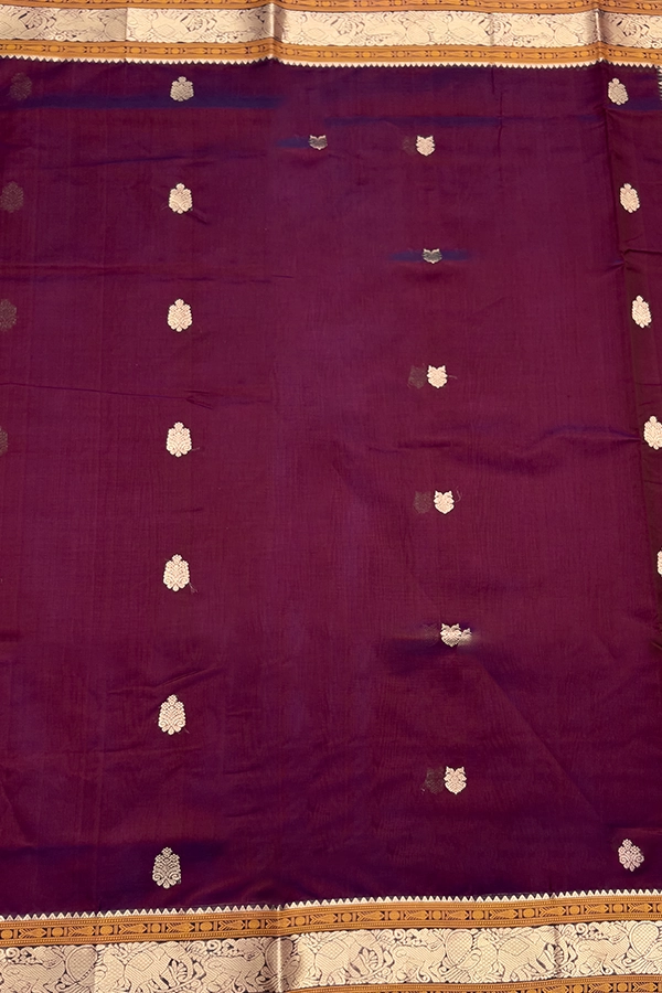 Kanchi Pure Silk Cotton