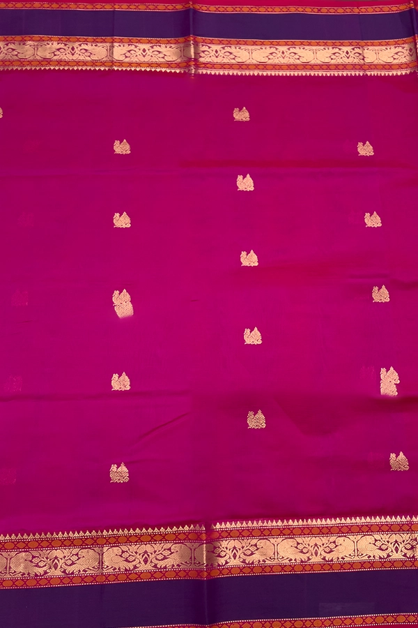 Kanchi Pure Silk Cotton Saree