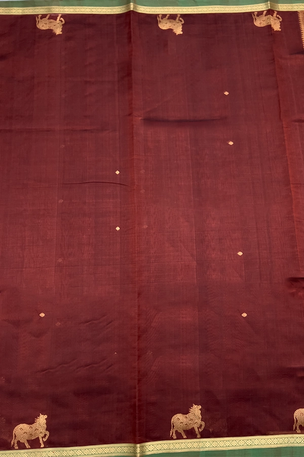 Kanchi Pure Silk Cotton Saree