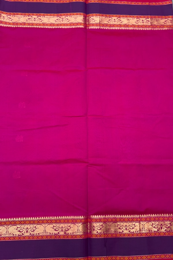 Kanchi Pure Silk Cotton