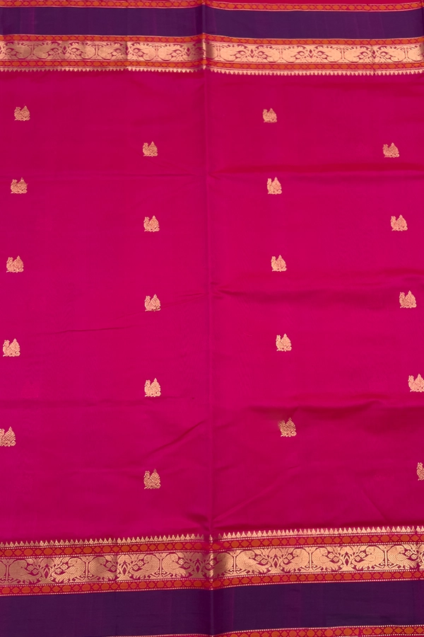 Kanchi Pure Silk Cotton
