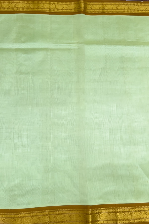 Silk Cotton Saree pastel green
