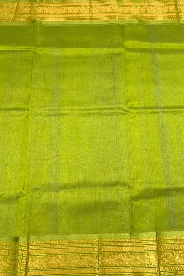 Kanchi Silk Cotton Saree in sky blue