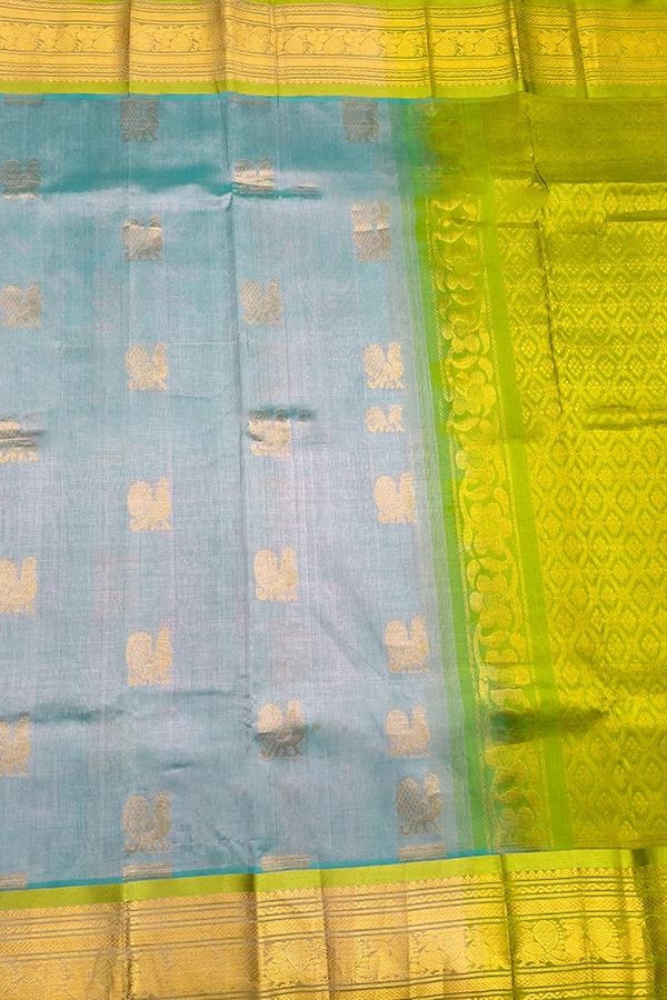 Kanchi Silk Cotton Saree in sky blue
