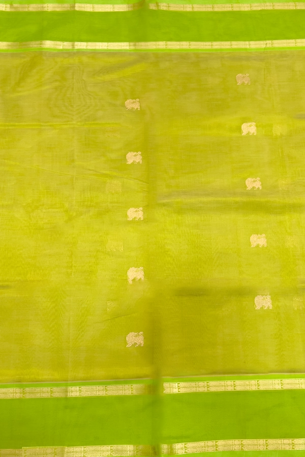 Kanchi Pure Silk Cotton in parrot green