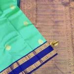 Green Kanchipuram silk- Main