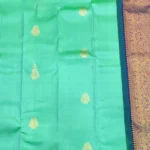 Green Kanchipuram silk- Body