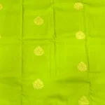 Green Kanchipuram Silk - body